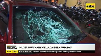 Mujer murió atropellada en la Ruta PY 01