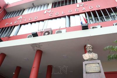 ANR: solicitarán realizar elecciones juveniles el 2 de febrero