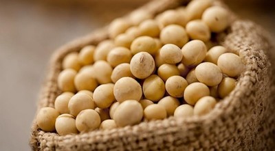 Argentina aumenta los impuestos a las exportaciones agropecuarias