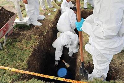 Hallaron 50 cuerpos en una fosa en Colombia