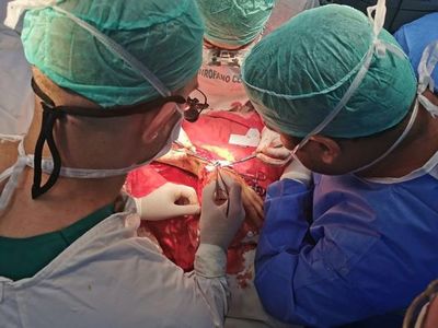 Mexicanos estudian proteína supresora de tumores cancerígenos en hígado
