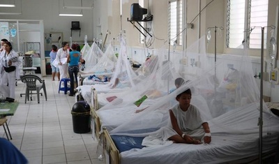 Dengue: Establecen que funcionarios públicos colaboren con tareas de limpieza