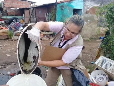 Jefe de Estado exhorta a tomar conciencia en la lucha contra el dengue