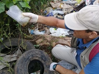 Campaña antidengue: Fiscalía anuncia imputaciones contra dueños de baldíos en San Pedro