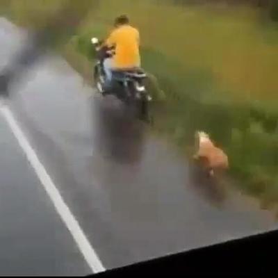 Denuncian a hombre que arrastró a un perro desde su motocicleta