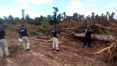 Intervienen desmonte en Caazapá
