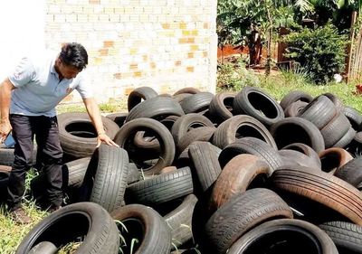 Desde el MEC anuncian que realizarán mingas y fumigaciones en escuelas antes del inicio de clases