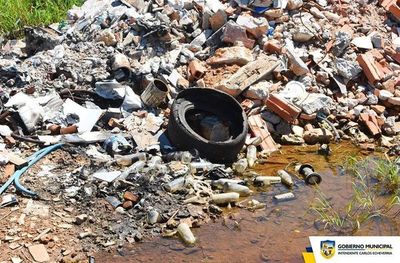 Más de 100 denuncias por día sobre criaderos de dengue •