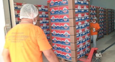 Mario Abdo Benítez celebra primera exportación de banana a Chile