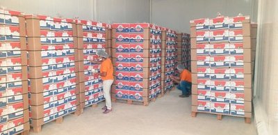 Paraguay inicia exportación de banana a Chile