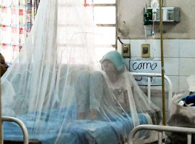 Se confirman 4 muertes por dengue y más de mil casos