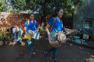 En Central, el 90 % de las casas tienen criaderos del mosquito transmisor del dengue