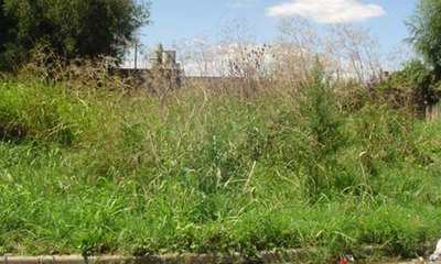Hasta ahora, hay unas 600 denuncias de inmuebles abandonados en Asunción