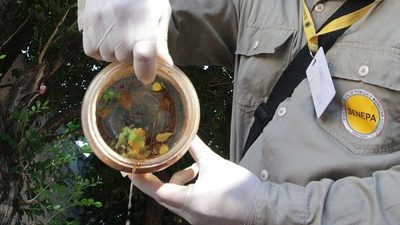Capiatá: escenario de mingas ambientales para luchar contra el Dengue