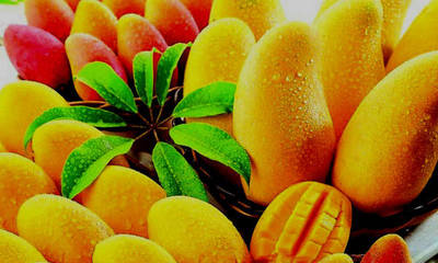 Extienden el Festival del Mango por pedido de la ciudadanía