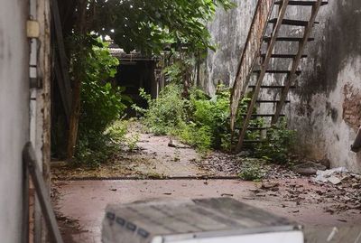 Vecinos se preocupan por casas abandonadas