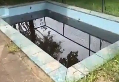 A la cárcel por puerco: De 3 a 5 años para quienes no eliminan criaderos del dengue