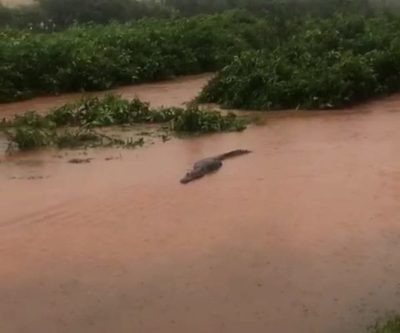 Piden tomar precaución por desborde del Lago de la República