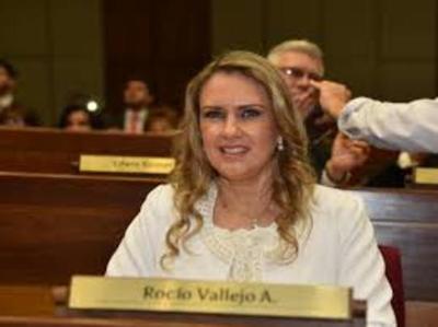 Día clave para definir transparencia sobre financiamiento político, dice diputada Vallejo