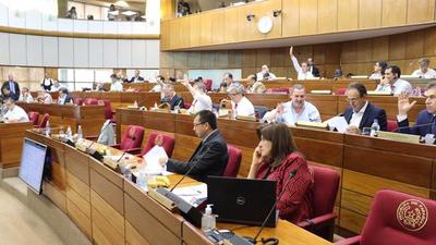 Senado aprueba por el proyecto de Ley de Financiamiento Político