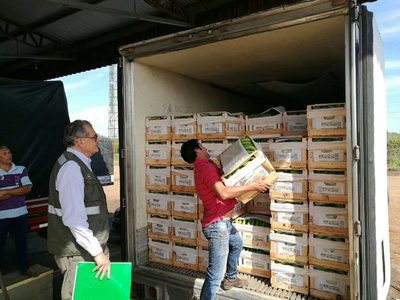 Debaten propiedad intelectual y derechos de obtentor de vegetales