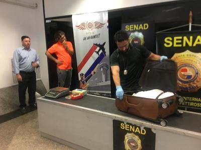 Rocky, can detector de drogas frustra traslado de cocaína para España