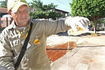 SENEPA notificó que el 95% de las casas tienen criaderos de mosquitos