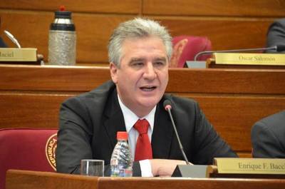 Baccheta afirma que Petta abordó mal el problema de los libros con errores