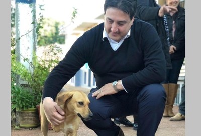 Más de 4 mil millones para la Dirección de Defensa animal, pero solo para sueldos, denuncian