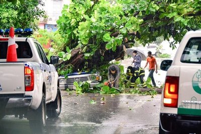 Fuerte temporal en Encarnación deja varios daños materiales