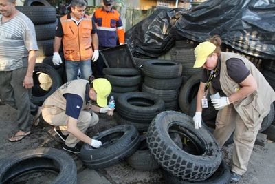 El Ministerio de Salud reporta desaceleración de casos de dengue