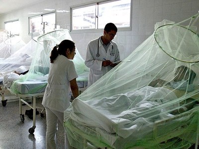 Dengue: Cuatro muertes más en una semana. Salud confirma que ya son 20 las víctimas fatales