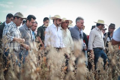 Comenzó el periodo de cosecha de soja. Hay expectativa de rentabilidad de G. 7.000.000 por hectárea