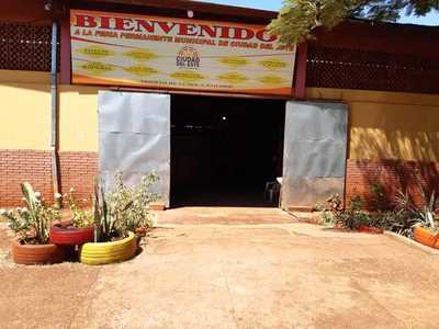 Comuna anuncia controles para evitar aglomeración en Feria Permanente