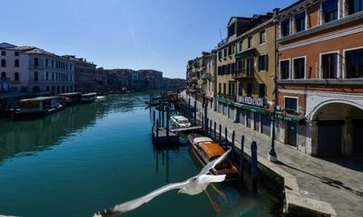 Cuarentena da un respiro al planeta
