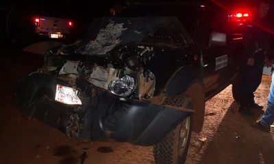 Vacuno causa accidente de tránsito sobre Ruta Py 06 – Diario TNPRESS