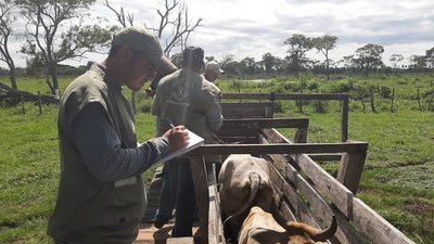 SENACSA resalta ejecución de casi el cien por ciento de inmunidad de ganados