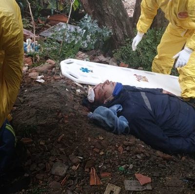 Trabajador podaba un árbol y sufre heridas al caer al suelo – Diario TNPRESS