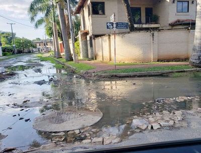 El mosquito Aedes aegypti mutó y se reproduce en aguas servidas, sucias