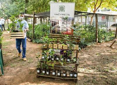 EBY entrega plantines por el Día del Árbol