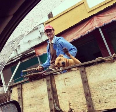 Cuando hasta tu Perro inspira buena onda!!
