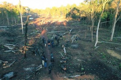 Inician reforestación en zona recuperada de Puerto Indio, Alto Paraná